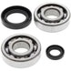 ALL BALLS Crankshaft Bearing & Oil Seal Kit - Main