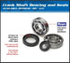ALL BALLS Crankshaft Bearing & Oil Seal Kit - Extra