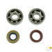 ATHENA Crankshaft Bearing & Oil Seal Kit - Main