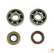 ATHENA Crankshaft Bearing & Oil Seal Kit - Main