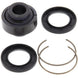 ALL BALLS Bottom Shock Absorber Bearing Kit Honda CR125R/250R/500R - Main