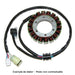 TOURMAX Stator - Yamaha T-MAX500 - Main