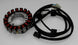 TOURMAX Stator - Suzuki VS 1400 Intruder GLF - Extra