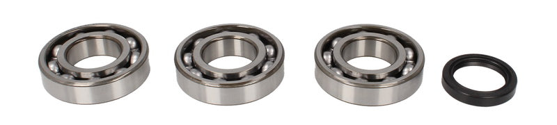 Kit de reparație pentru arbore cotit POLARIS ATV, BIG BOSS, MAGNUM, SCRAMBLER, SPORTSMAN, WORKER, XPLORER 335-500 1995-2003