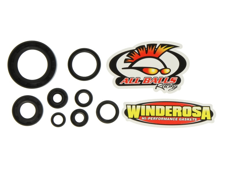 Set garnituri pentru motor WINDEROSA 822111
