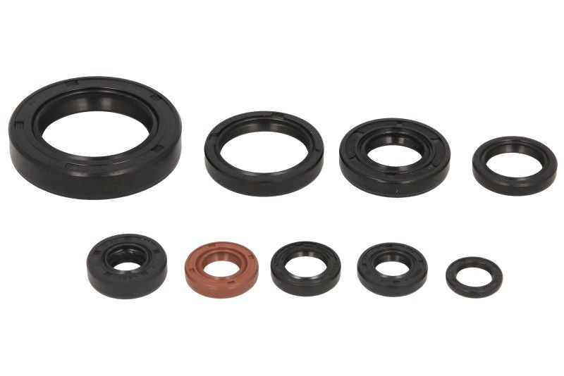 Set garnituri pentru motor WINDEROSA 822268
