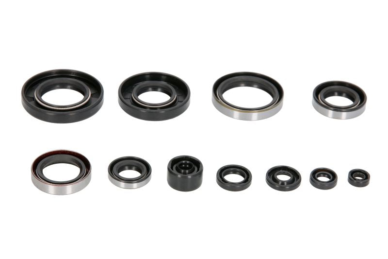 Set garnituri pentru motor WINDEROSA 822288