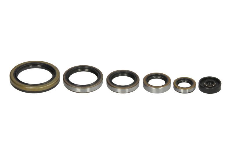 Set garnituri pentru motor WINDEROSA 822192