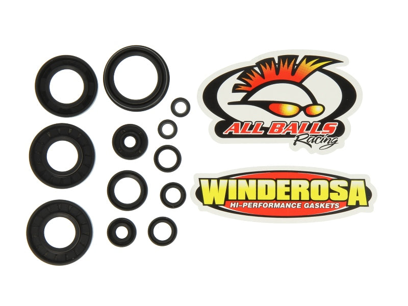Set garnituri pentru motor WINDEROSA 822252