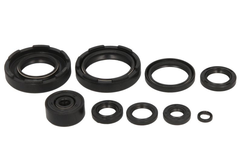 Set garnituri pentru motor WINDEROSA 822221