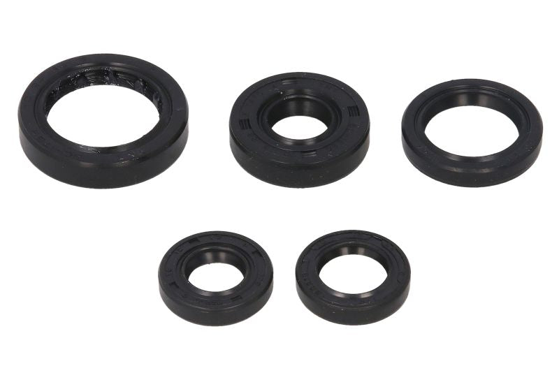 Set garnituri pentru motor WINDEROSA 822168