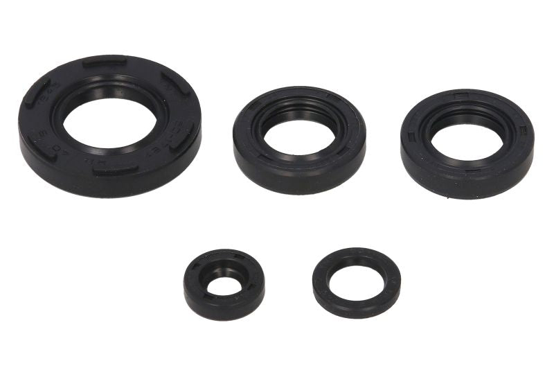 Set garnituri pentru motor WINDEROSA 822230