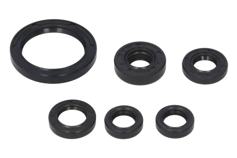 Set garnituri pentru motor WINDEROSA 822238