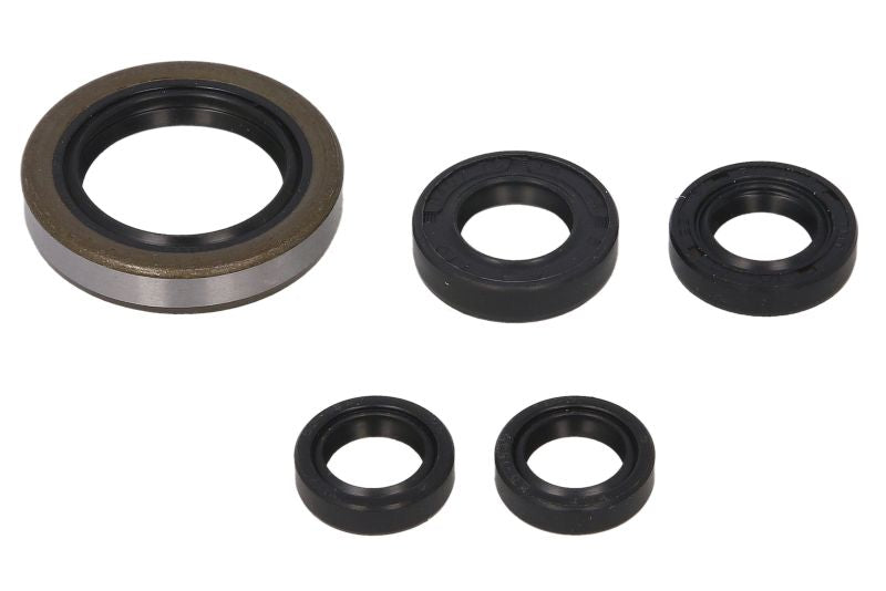 Set garnituri pentru motor WINDEROSA 822249