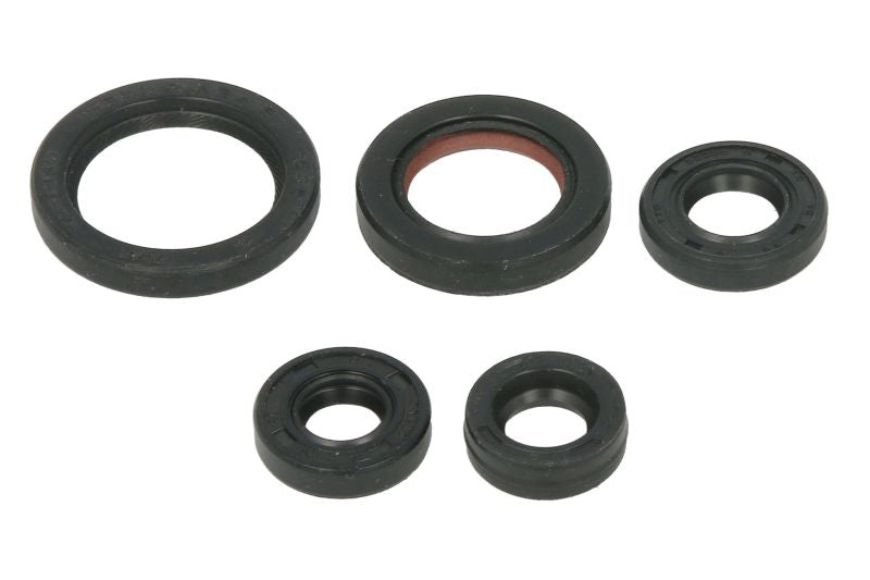 Set garnituri pentru motor WINDEROSA 822263