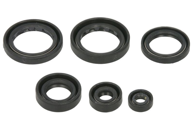 Set garnituri pentru motor WINDEROSA 822310