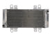 Radiator, racire motor 4 RIDE TRS-R-667
