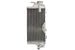 Radiator, racire motor 4 RIDE TRS-R-045R