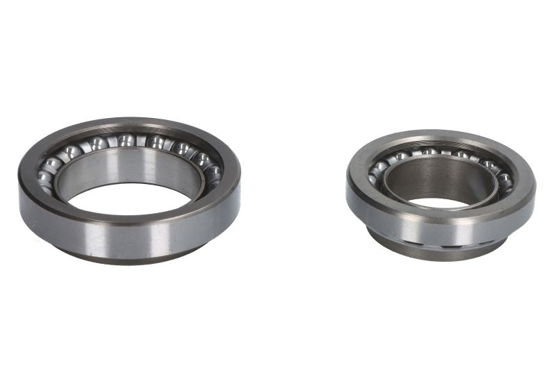 Kit rulmenți jug RMS 184220340