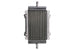 Radiator, racire motor 4 RIDE TRS-R-750