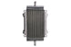 Radiator, racire motor 4 RIDE TRS-R-750
