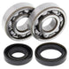 ALL BALLS Crankshaft Bearing & Oil Seal Kit - Main