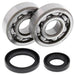ALL BALLS Crankshaft Bearing & Oil Seal Kit - Main