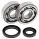 ALL BALLS Crankshaft Bearing & Oil Seal Kit - Main