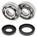 ALL BALLS Crankshaft Bearing & Oil Seal Kit - Main