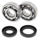 ALL BALLS Crankshaft Bearing & Oil Seal Kit - Main