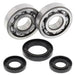 ALL BALLS Crankshaft Bearing & Oil Seal Kit - Main