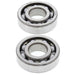 ALL BALLS Crankshaft Bearing & Oil Seal Kit - Extra