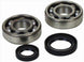 ALL BALLS Crankshaft Bearing & Oil Seal Kit - Main