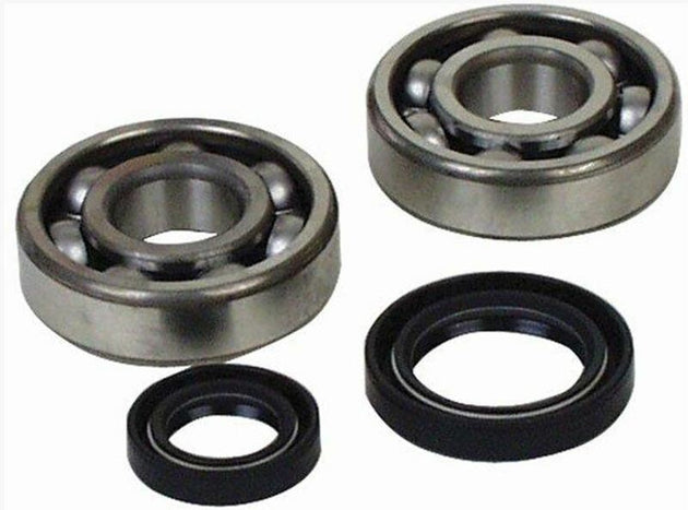ALL BALLS Crankshaft Bearing & Oil Seal Kit - Extra