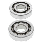 ALL BALLS Crankshaft Bearing & Oil Seal Kit - Extra