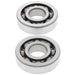 ALL BALLS Crankshaft Bearing & Oil Seal Kit - Extra