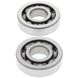 ALL BALLS Crankshaft Bearing & Oil Seal Kit - Extra