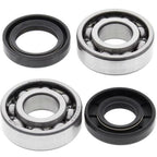 ALL BALLS Crankshaft Bearing & Oil Seal Kit - Extra