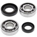 ALL BALLS Crankshaft Bearing & Oil Seal Kit - Main