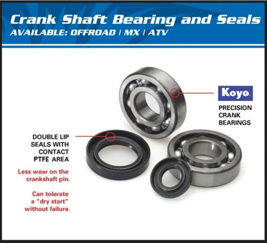 ALL BALLS Crankshaft Bearing & Oil Seal Kit - Extra
