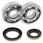ALL BALLS Crankshaft Bearing & Oil Seal Kit - Main