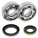 ALL BALLS Crankshaft Bearing & Oil Seal Kit - Main