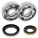 ALL BALLS Crankshaft Bearing & Oil Seal Kit - Main