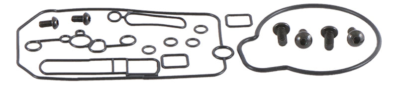 ALL BALLS Carburetor Repair Kit - Extra