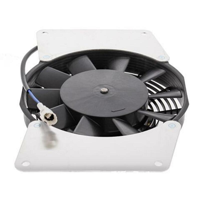 ALL BALLS Radiator Fan - Main