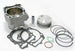 ATHENA Cylinder Kit - Ã˜100mm Suzuki LT-R450 - Main