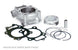 ATHENA Cylinder Kit - Ã˜77mm Suzuki RM-Z250 - Main