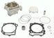 ATHENA Cylinder Kit - Ã˜100mm Suzuki RM-Z450 - Extra