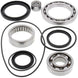 ALL BALLS Rear Differential Bearing & Seal Kit Yamaha YFM - Main