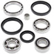 ALL BALLS Front Differential Bearing & Seal Kit Arctic Cat/Kymco - Main